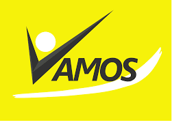 Partido Va Movimiento Solidario (VAMOS)